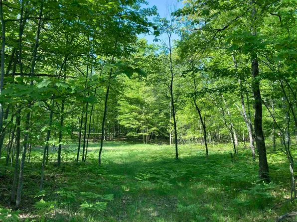 3240 S Baroda Dr, West Branch, MI 48661