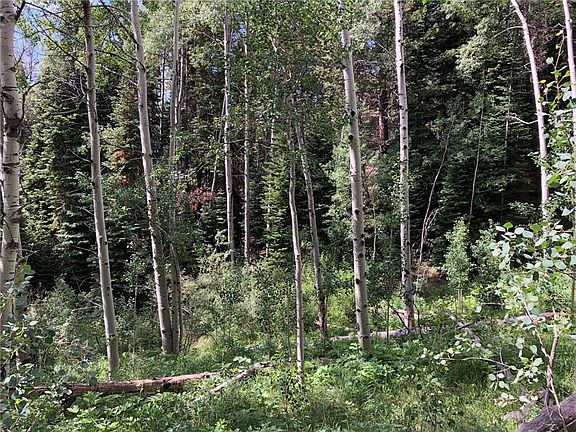 5th image of 897 & 1013 County Road 160