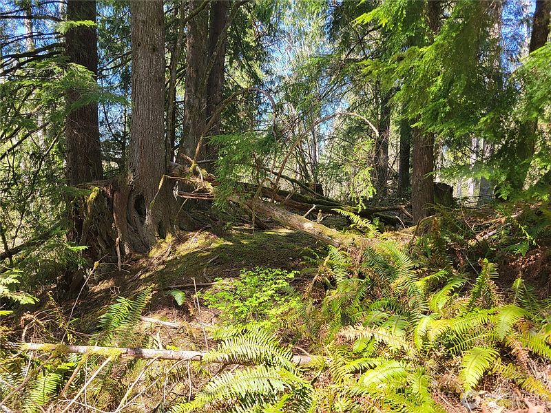 3rd image of 0 XXX Mtn Loop Highway