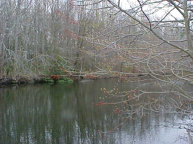 Lagoon looking south (winter
