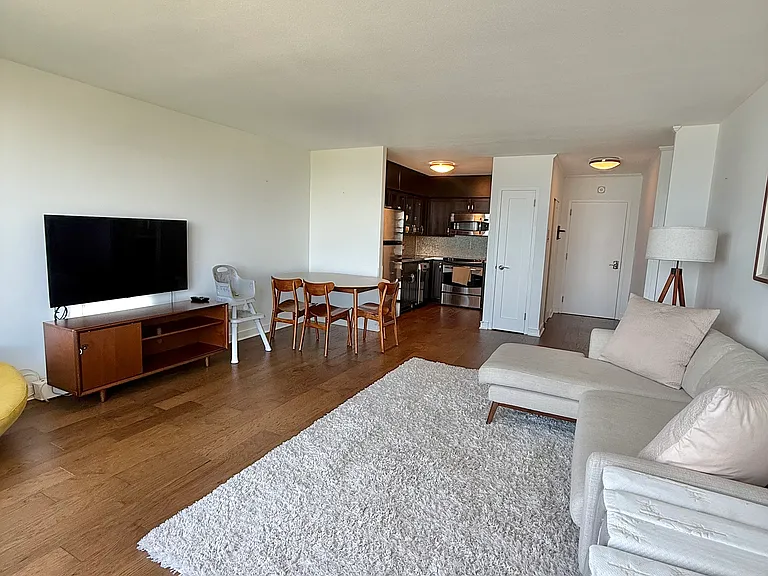 1550 N Lake Shore Dr #28C — Photo 7