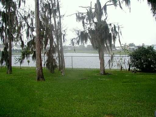 Tranquil Water View 