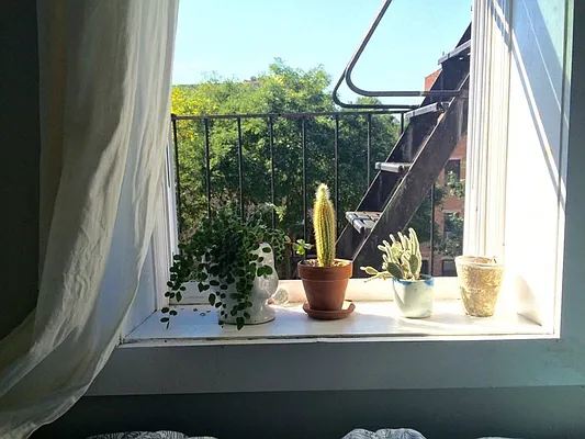 Rented by The Hamilton Group | media 28