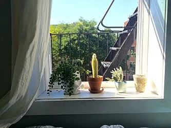 Rented by The Hamilton Group