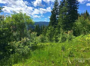 46 Acres Cove Rd, Grangeville, ID 83530