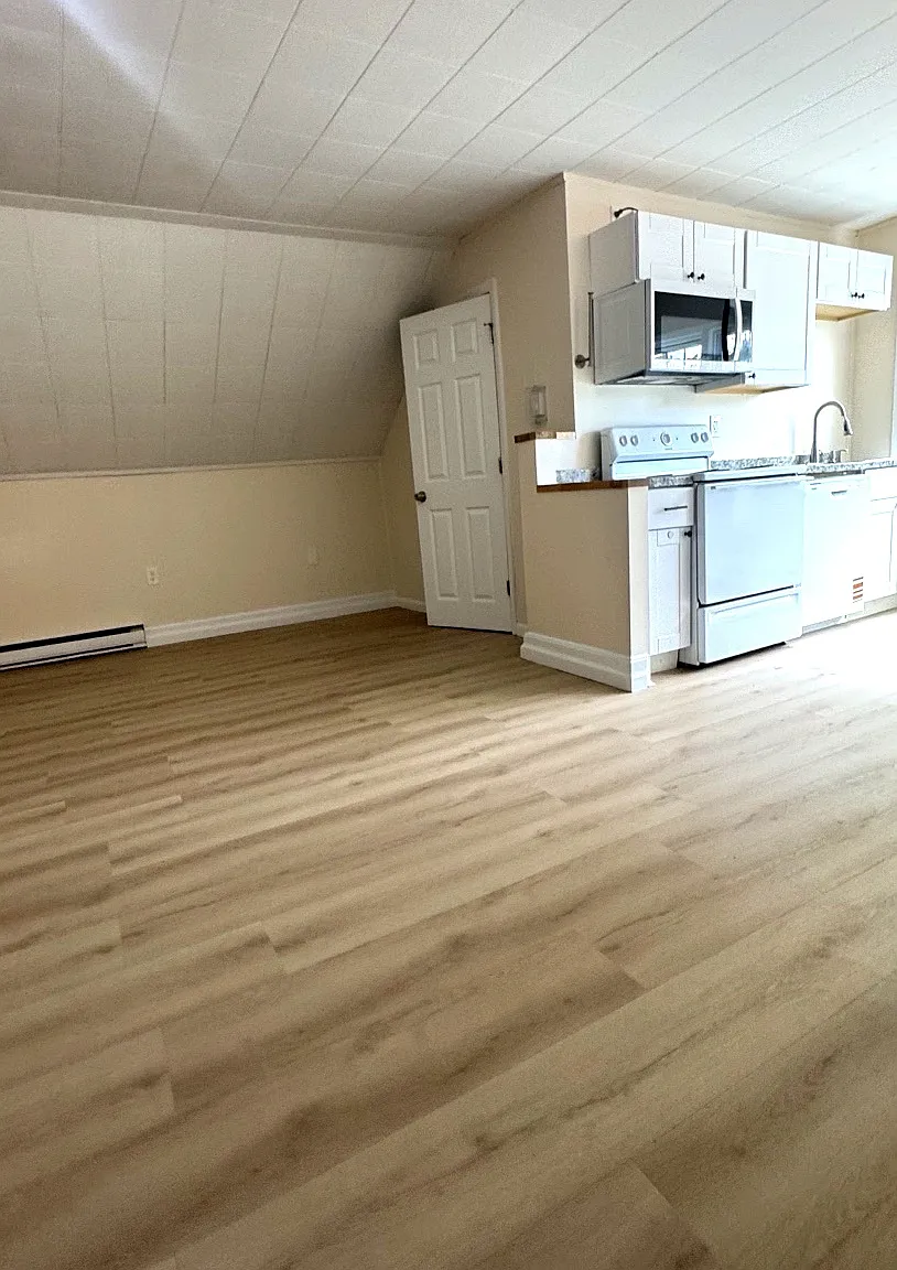 1 bed, 700 sqft, $1,675 — Photo 1