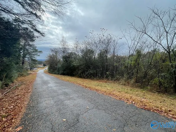 Bakers Chapel Ln, Guntersville, AL 35976