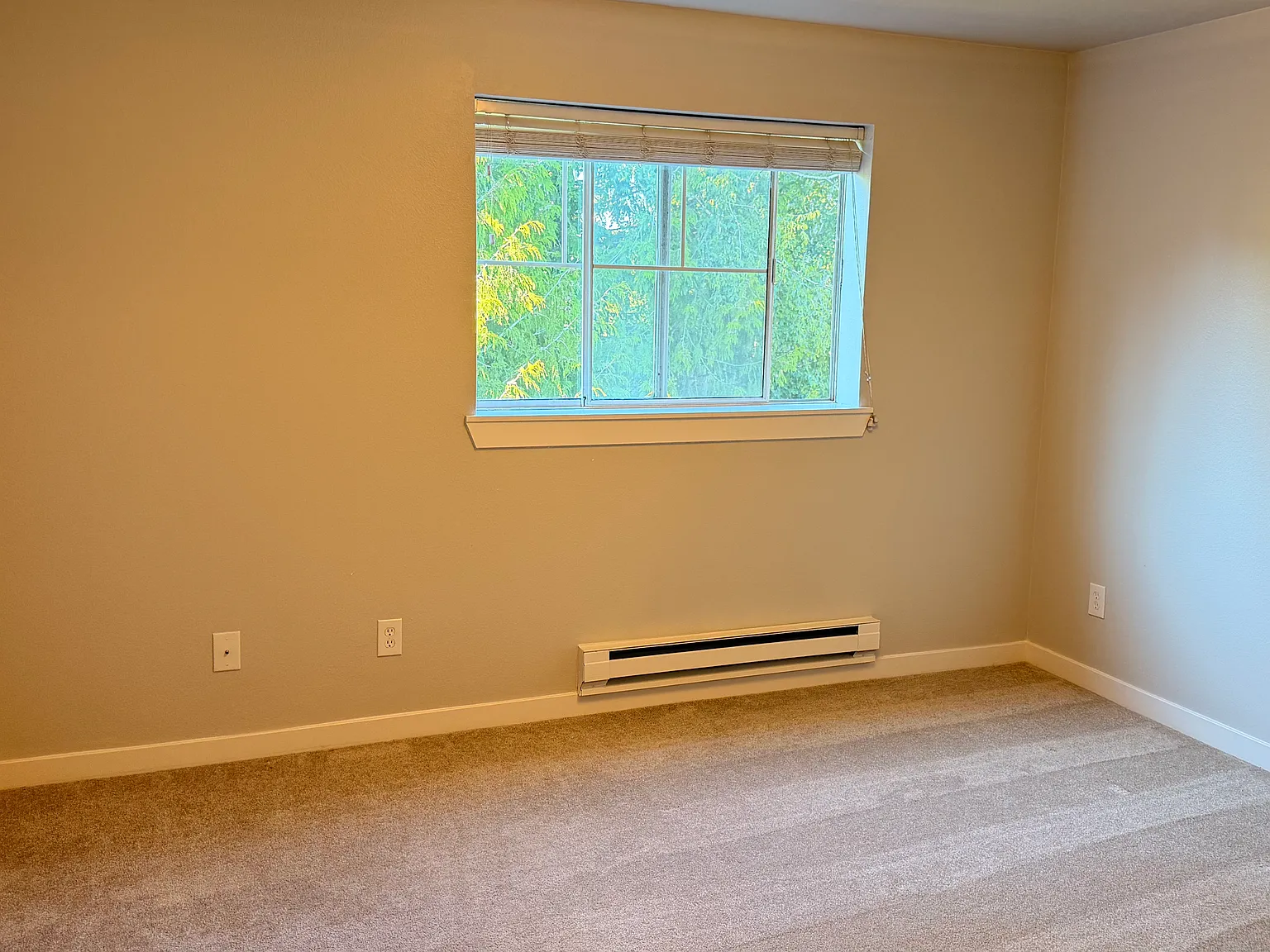 2 bed, 1.5 bath, 980 sqft, $2,150 — Photo 2