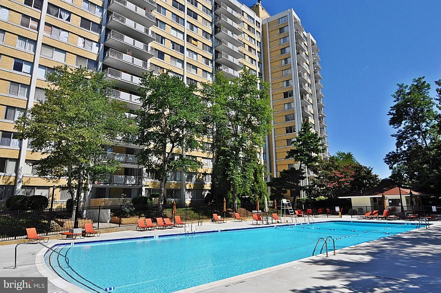 1 bed, 1.5 bath, 849 sqft, $1,800 — Photo 2
