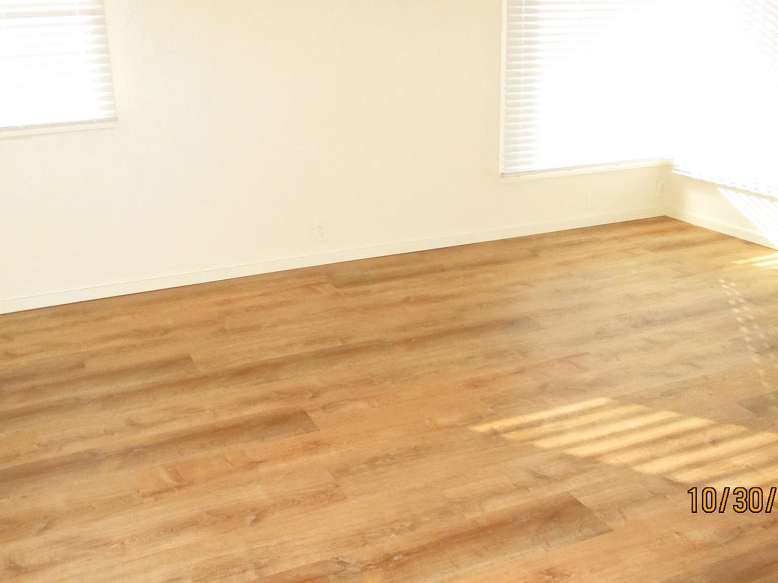2 bed, 688 sqft, $1,300 — Photo 2