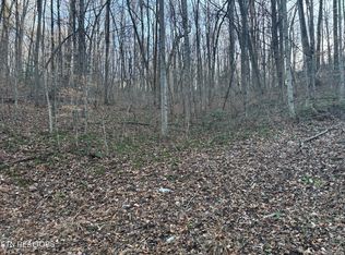 Kay Dr, La Follette, TN 37766