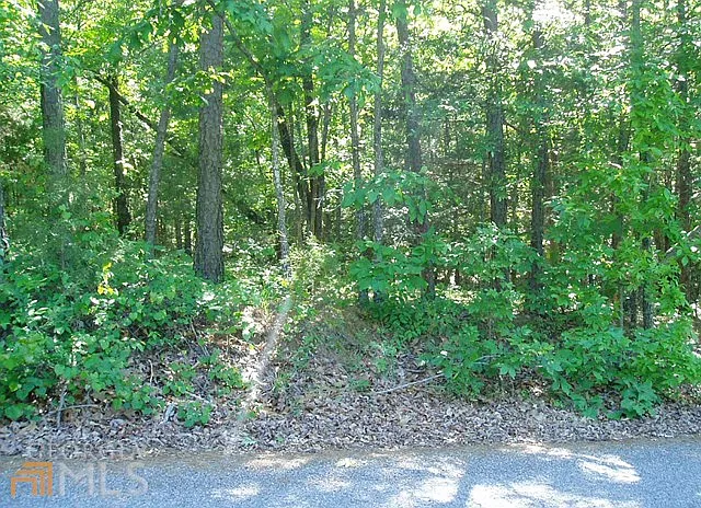 Van Buren Rd photo 1
