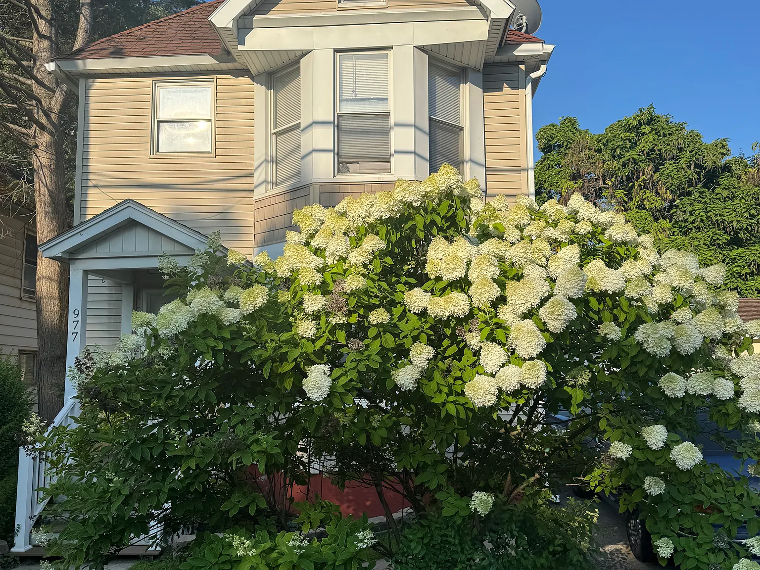 2 bed, 1200 sqft, $1,400 — Photo 1