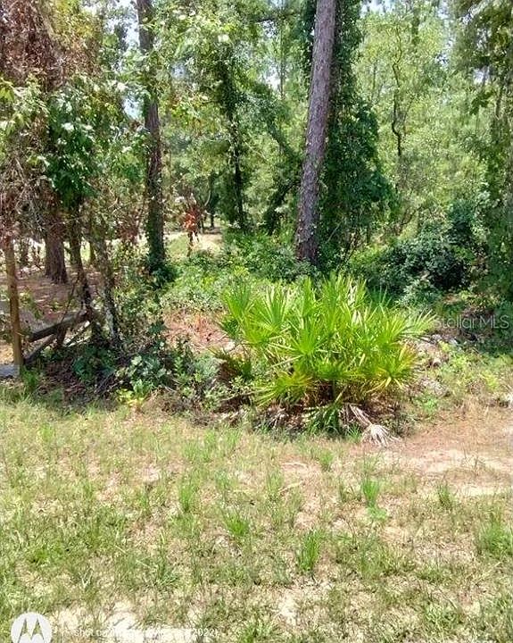 1st image of 13342 SCHICK AVENUE LOT 3