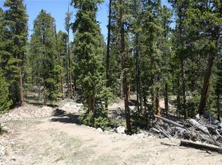 74 Connies Ct, Fairplay, CO 80440