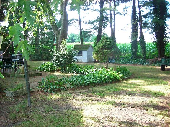 Private Wooded Yard with Garden/Playhouse