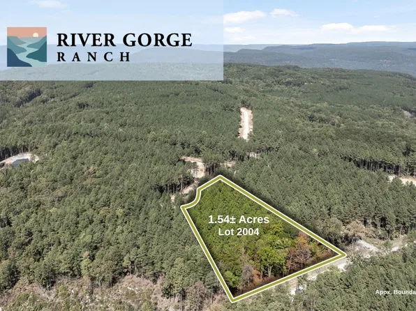 2004 Stardust Ct Lot 2004, Guild, TN 37340