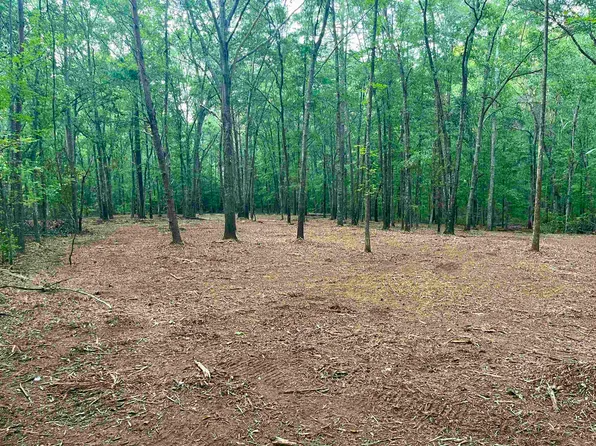 5 Iron Bridge Rd, Cowpens, SC 29330