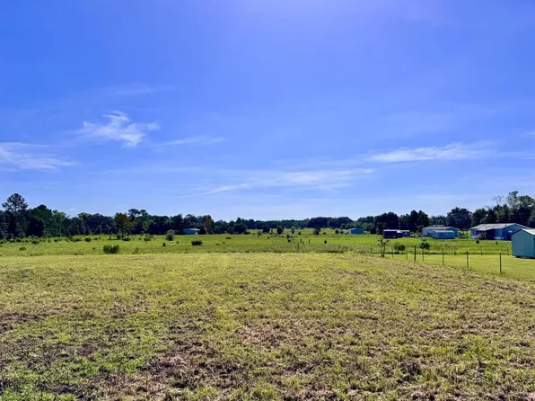 NE 96 AVENUE LOT 200, ARCHER, FL 32618