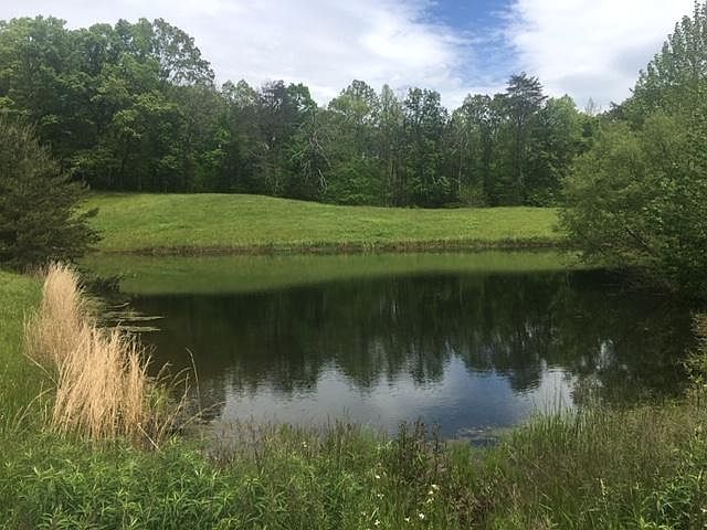1st image of 207 Song Of The Valley Dr