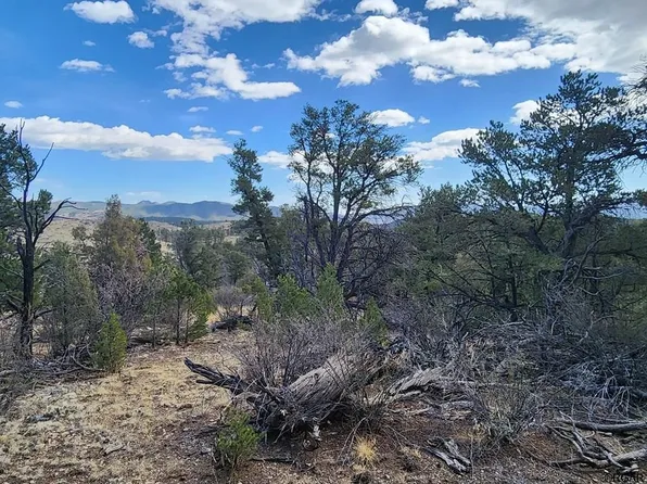 Tbd 35th Trl, Cotopaxi, CO 81223