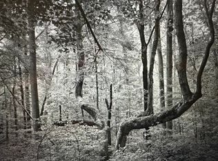 Undisclosed Rd, Pembroke, VA 24136