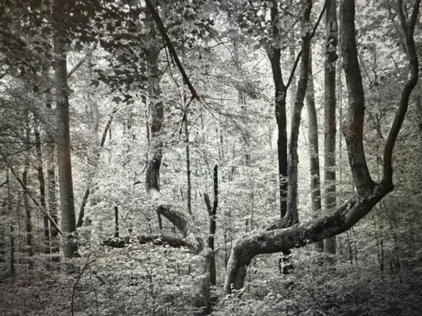 Undisclosed Rd, Pembroke, VA 24136