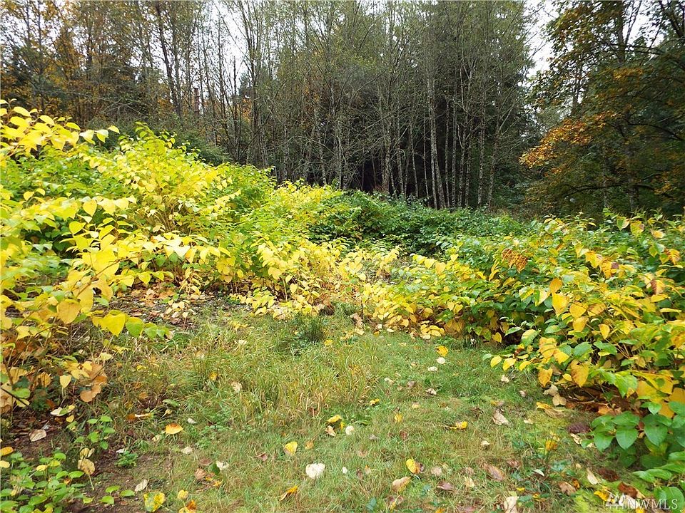 2nd image of 13121 Woods Lake Rd