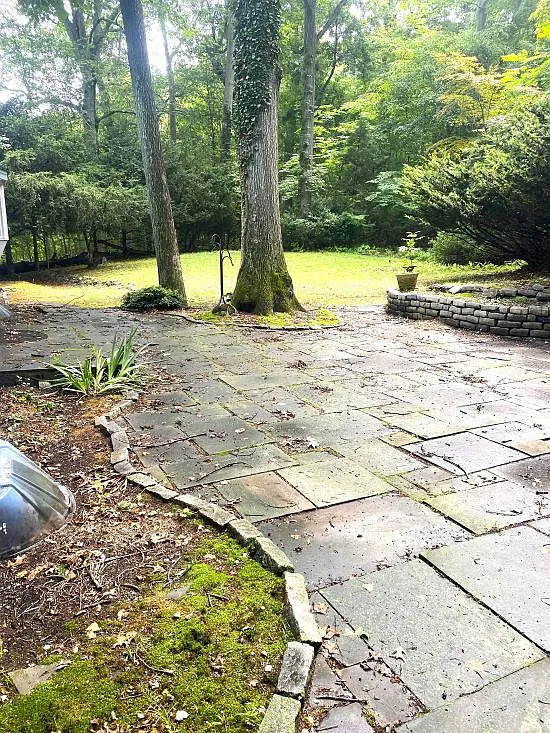 5 bed, $6,000 — Photo 3