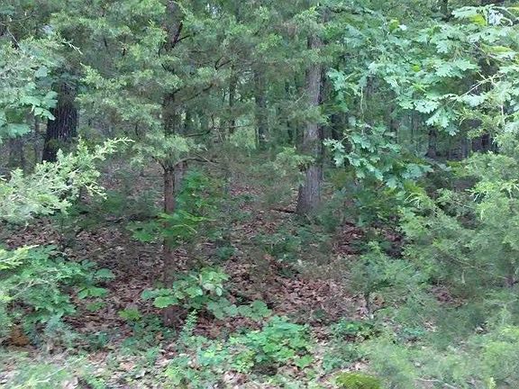 4th image of 1907 Birch Ln