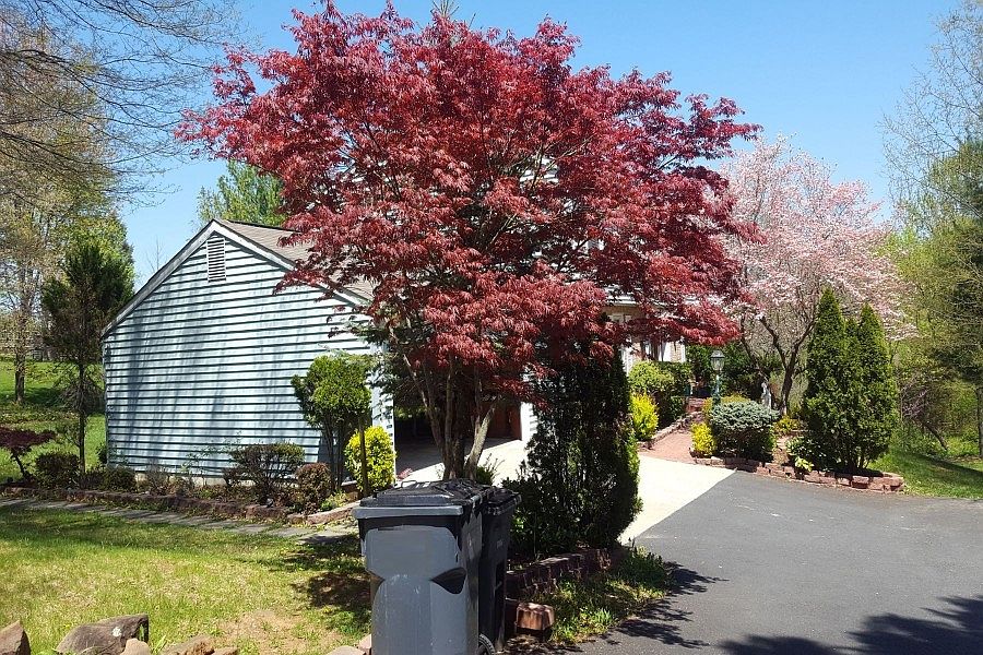 2nd image of 12256 Streamvale Cir