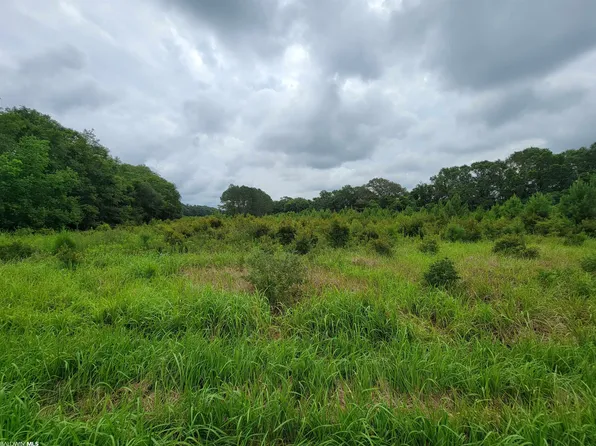 20717 County Road 68 N, Robertsdale, AL 36567