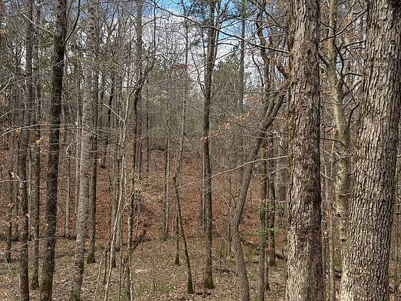 5th image of 564 Macedonia Rd