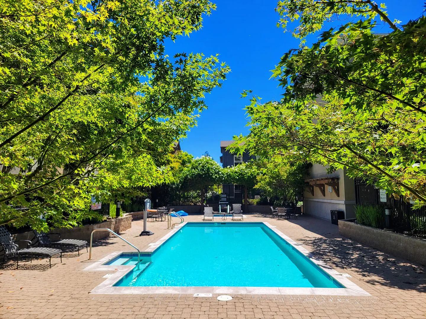 Stunning 2 Bed 2 Bath Penthouse Condo in Los Altos. Great Schools and Location! — Photo 2