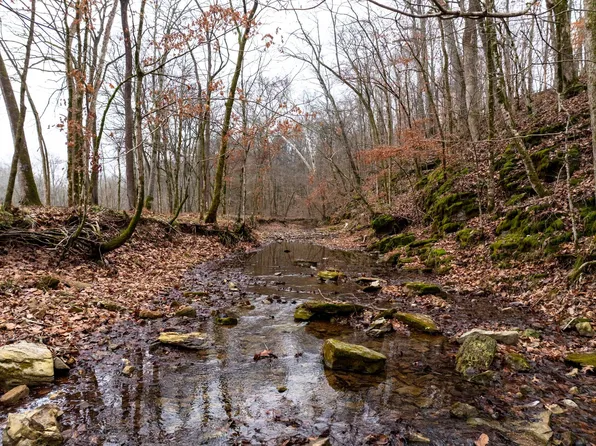 0 Shelter Branch Rd Lot 4, Cumberland Furnace, TN 37051