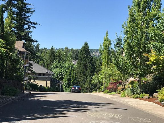 Street view from front yard