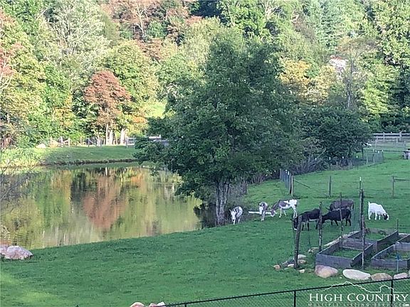 4th image of 199 Bluff Hollow Dr