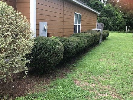 3rd image of 157 Mayfield Dr