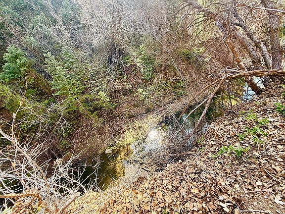 3rd image of 13780 Birch Creek Rd #D14