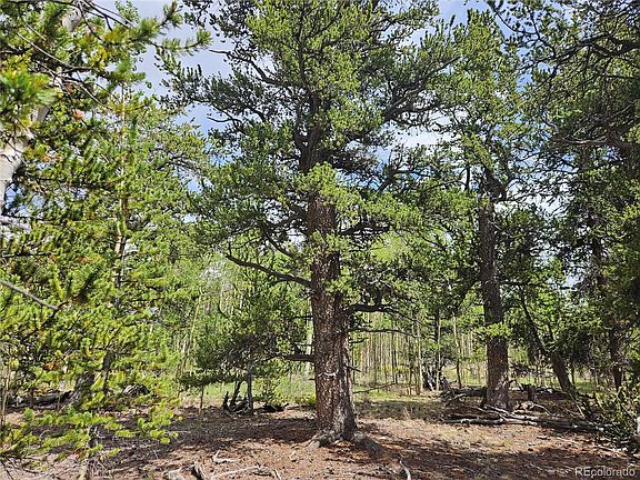 5th image of PCS#38033 Foxtail Drive Lot 142