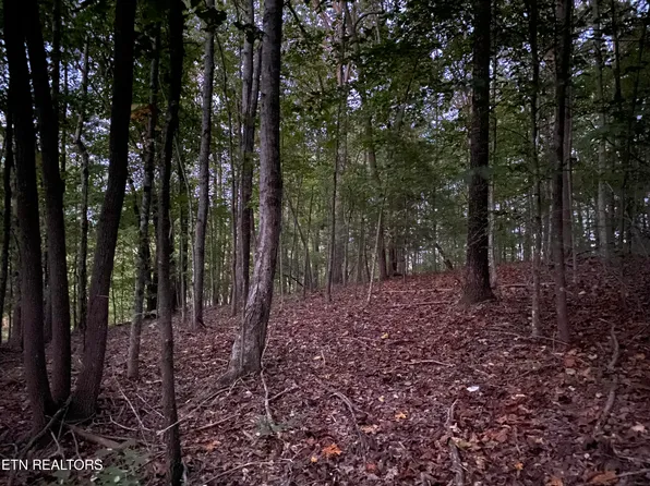 119 Hiwassee View Dr, Jacksboro, TN 37757