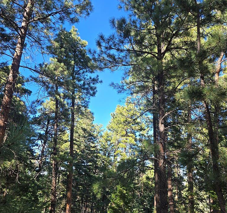 2nd image of Tbd Zorn Rd