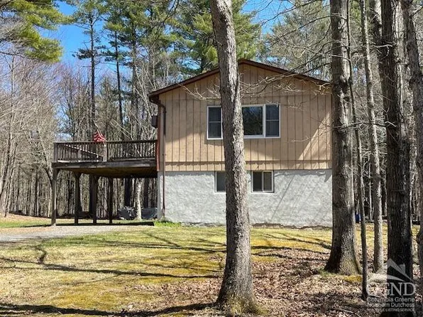 1158 Hearts Content Road, Cairo, NY 12473