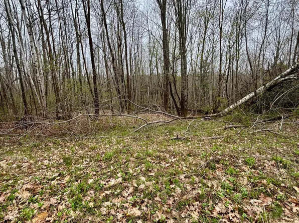 140 Gray Meadow Road, Orland, ME 04472