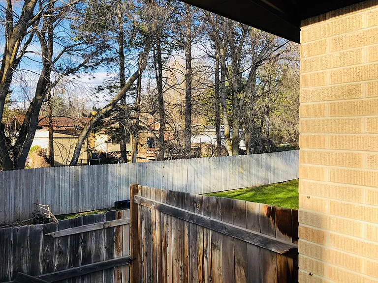 View from backyard deck