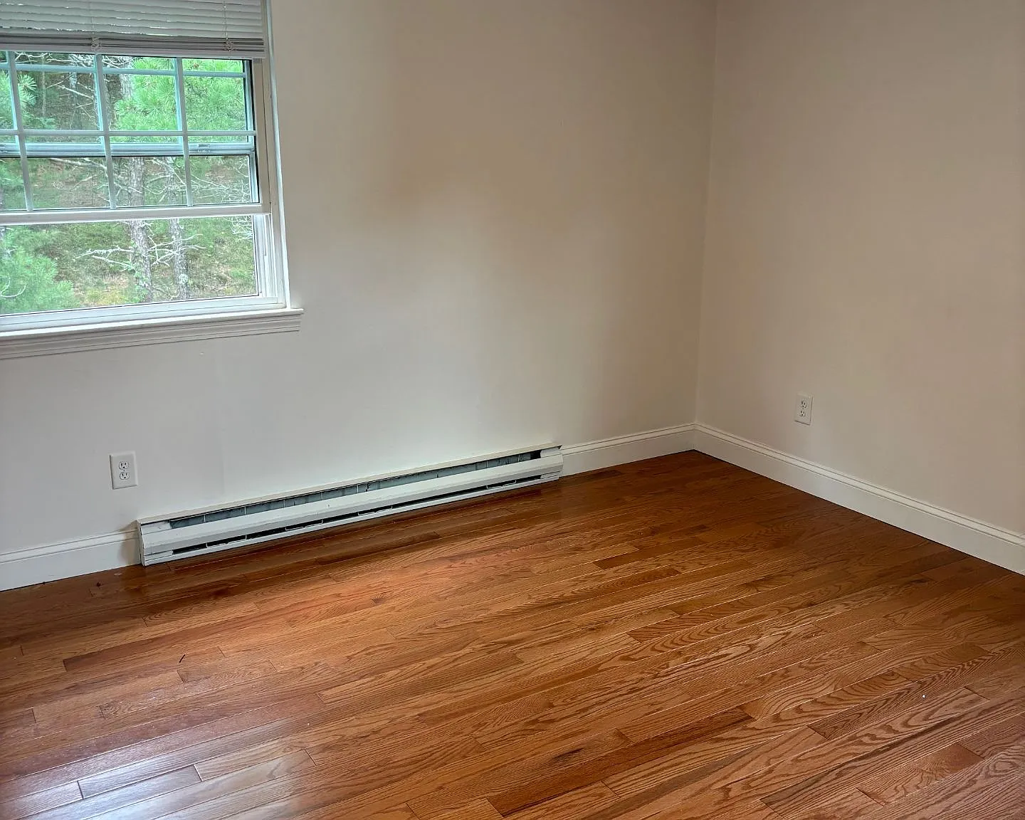 2 bed, 1000 sqft, $2,500 — Photo 4