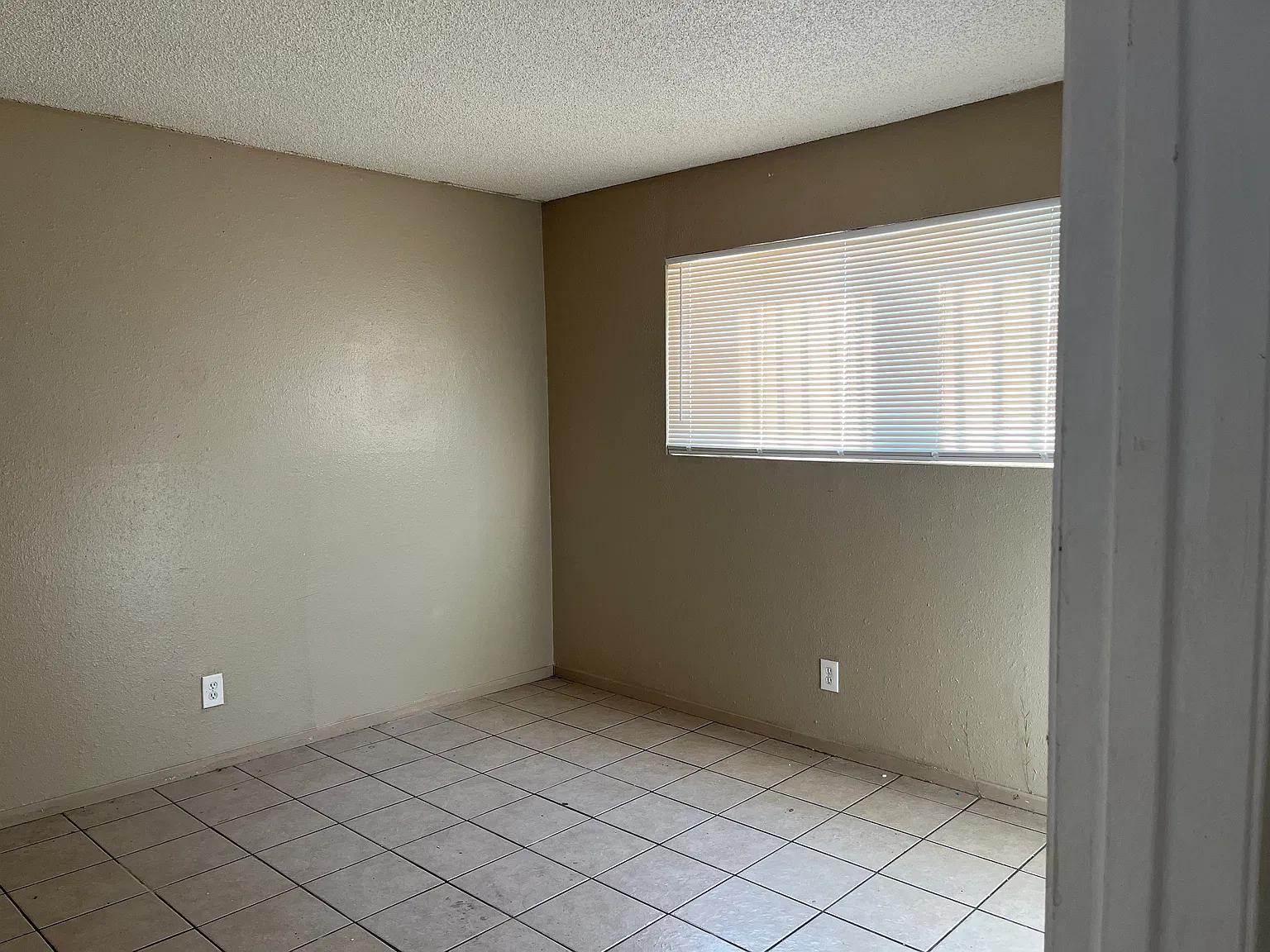 486 Calcaterra — Photo 2