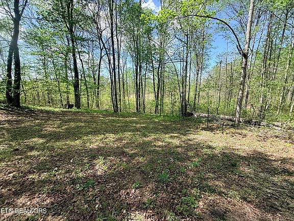 4th image of 242 Joe Barnett Rd