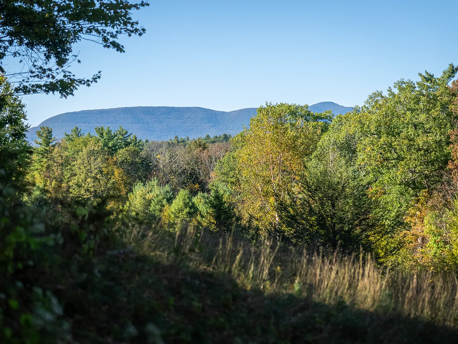 Ohayo Mountain Rd, Woodstock — Photo 2