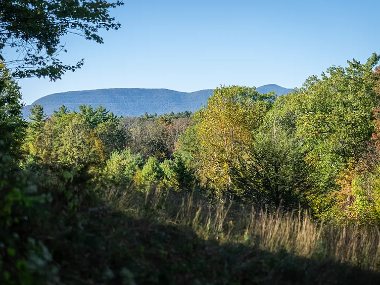 486 Ohayo Mountain Rd #2 — Photo 2